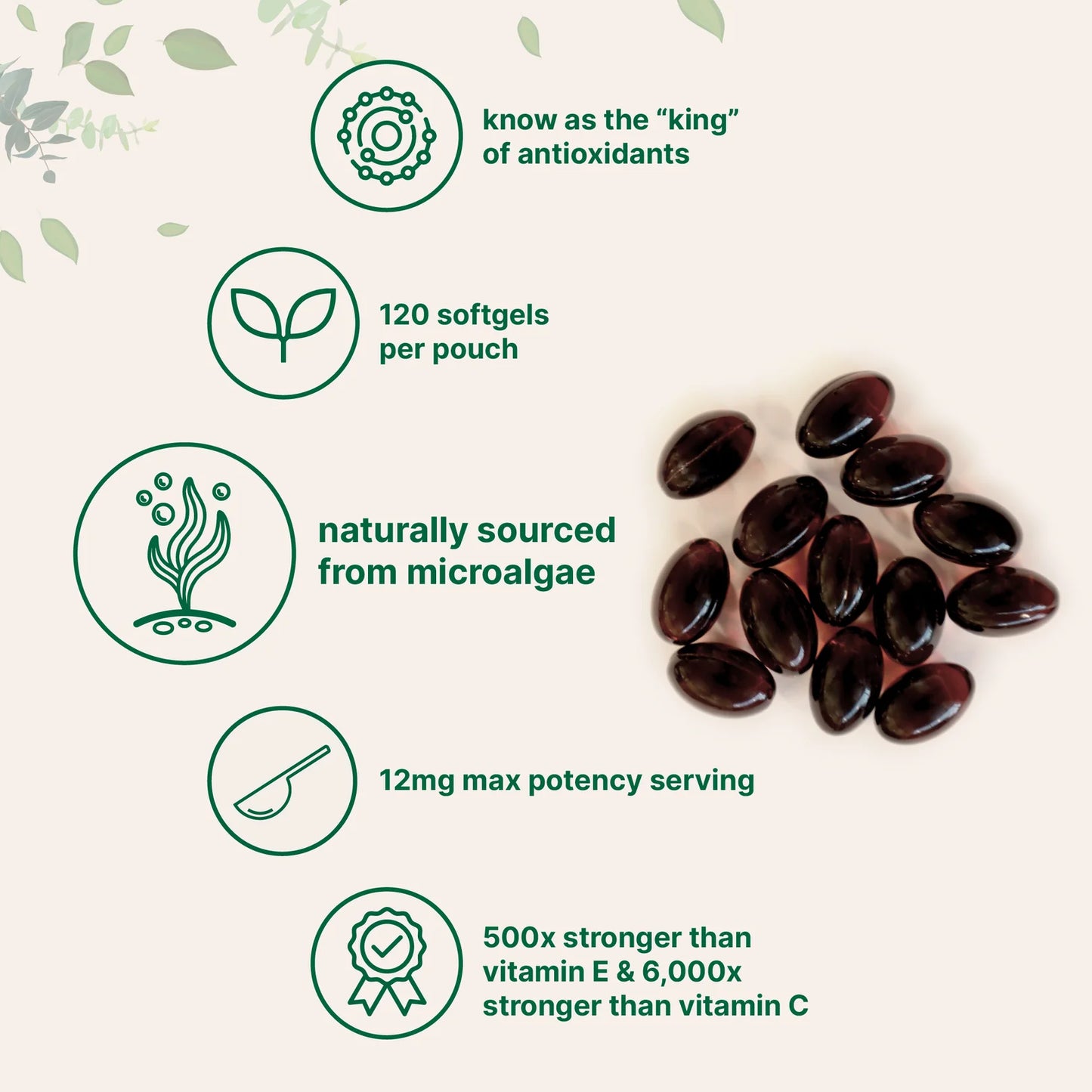 MicroIng. Astaxanthin 12mg from MicroAlgae | 120 Softgels, 100% Natural